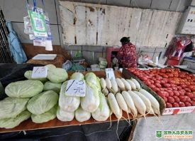 武漢：茄果類蔬菜價格上漲